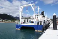 Navire de croisière à vendre