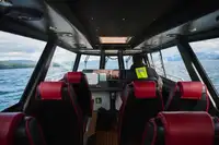 Bateau patrouilleur à vendre
