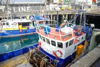 Navire transporteur de GNL à vendre