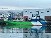 Bateaux de travail à vendre