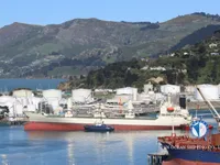 Navire frigorifique à vendre