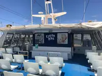 Catamaran à vendre