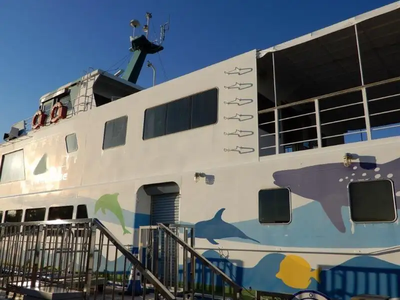Navire de croisière à vendre