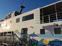 Navire de croisière à vendre