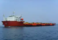 Transporteur de vrac à vendre