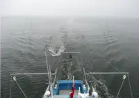Navire d'arpentage à vendre