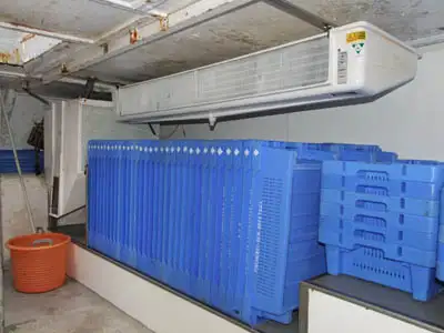 Chalutier à vendre