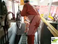 Navire d'arpentage à vendre