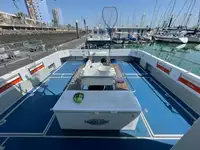 Catamaran à vendre