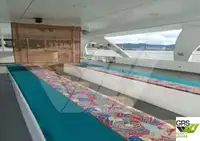 Navire de passagers à vendre