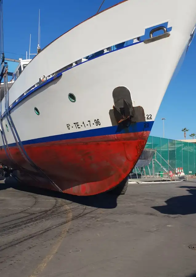 Navire de croisière à vendre