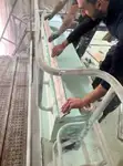 Bateaux de travail à vendre