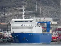 Transporteur de vrac à vendre