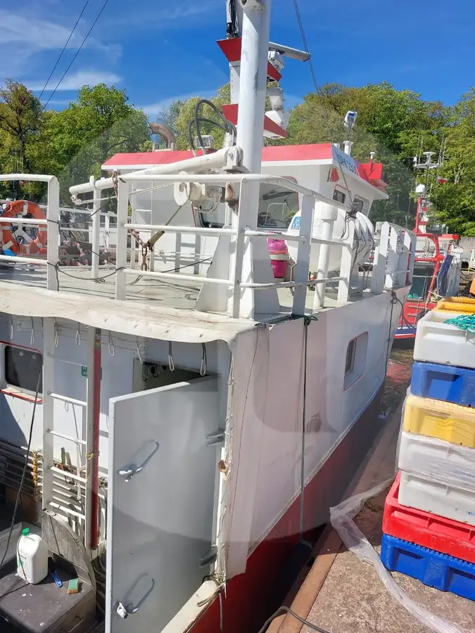 Navire transporteur de poissons vivants à vendre