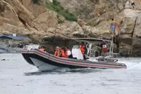 Bateau pneumatique rigide à vendre