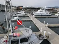 Canot de sauvetage à vendre