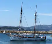 Navire-ferry à vendre