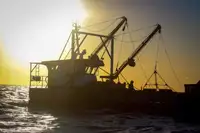 Bateaux de travail à vendre