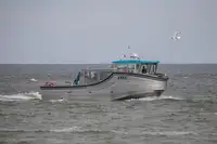 Navire de passagers à vendre