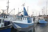 Transporteur de poissons vivants à vendre