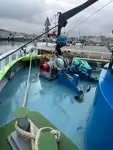 Bateaux de travail à vendre