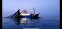Trawler à vendre