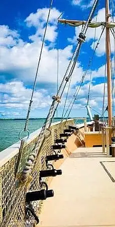 Navire de croisière à vendre