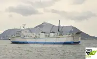 Ro-Ro ship à vendre