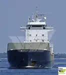 Transporteur de vrac à vendre