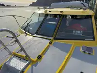 Navire de croisière à vendre
