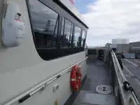 Catamaran à vendre