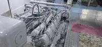 Navire de croisière à vendre