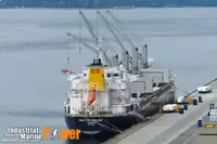 Transporteur de vrac à vendre