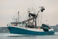 Chalutier à senne à vendre