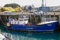 Navire transporteur de GNL à vendre