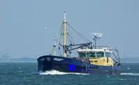 Chalutier à flottaison à vendre