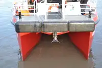 Catamaran à vendre