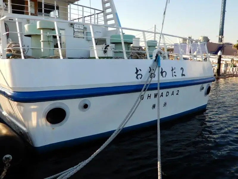 Navire de croisière à vendre
