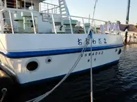 Navire de croisière à vendre