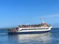 Navire à passagers à vendre