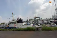 Bateau patrouilleur à vendre