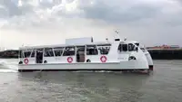 Catamaran à vendre