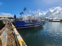 Chalutier à vendre