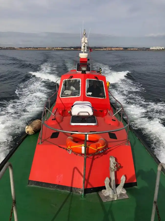 Bateau pilote à vendre