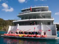 Catamaran à vendre