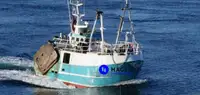 Beam trawler à vendre