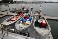 Chalutier à vendre