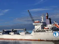 Navire frigorifique à vendre