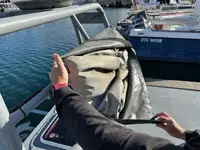 Bateau patrouilleur à vendre