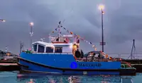 Remorqueur à vendre